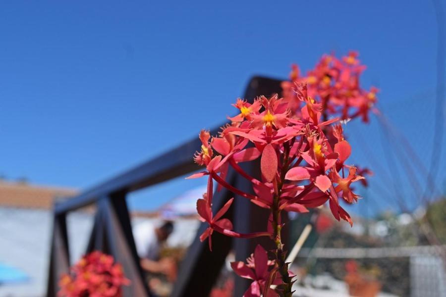 Casitas Manuel Holiday home *