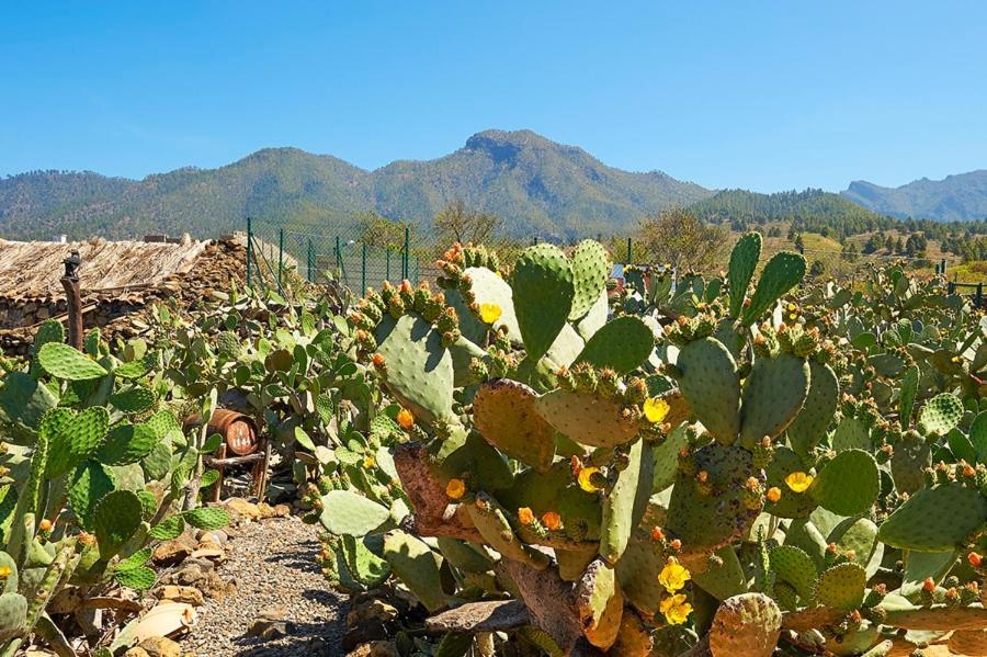 Casitas Manuel Holiday home El Paso